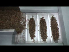 Fabrika fiyat kuru üzüm paketleme makinesi, fındık paketleme makinesi, Kurutulmuş Kırmızı Hurma paketleme makinesi