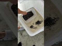 İzle: LC-M4H Tahıl Renk Ayırıcı Makinesi Mineraller CCD Renk Ayırıcı Tanıtımı